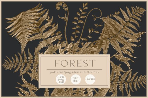 Download Forest Patterns - Forest Collection