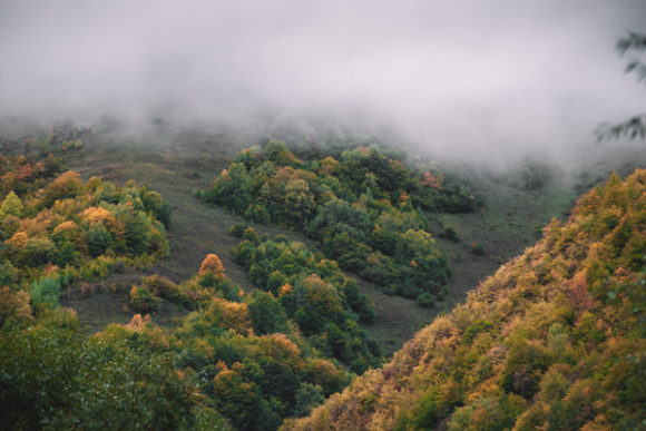Download Foggy Autumn Colors in the Mountains - Autumn Collection
