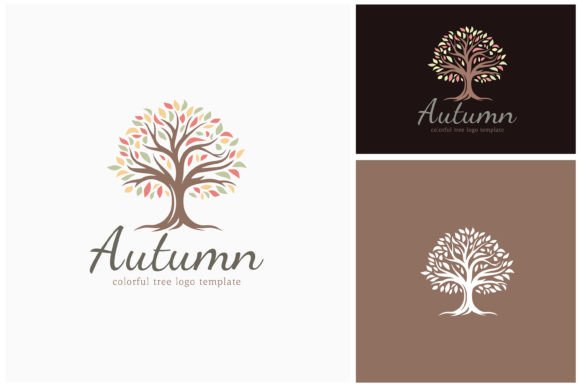 Download Oak Maple Tree Fall Autumn Colors Logo - Autumn Collection
