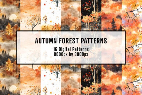Download Autumn Forest Patterns - Forest Collection