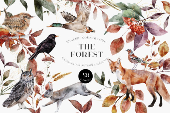 Download Autumn Forest Animals Watercolor PNG - Forest Collection